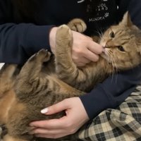 再びおやつを食べるみにらくん