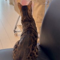 ベビーベッドの中で動く赤ちゃん
