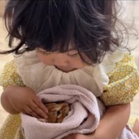 目を開けている子猫を見ながら指3本を子猫の頭につけている子供