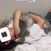 眠そうな猫