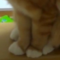 足のアップ