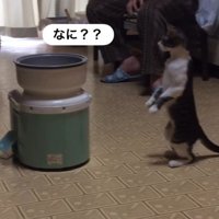 「なに？」と二回書かれた写真