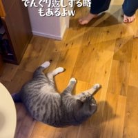 猫の倒れ方に笑う女性
