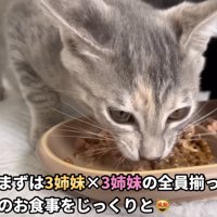 「さぁまずは...」のテロップ写真