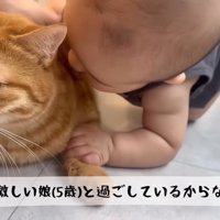 普段激しい娘と