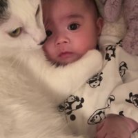 赤ちゃんと猫
