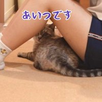 あいつです