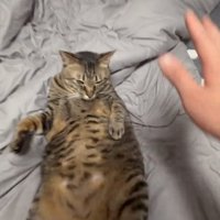 前に倒れる撮影者