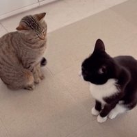 。。。。。と書かれた写真