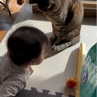 寝そべっている赤ちゃんとそれを見ている猫