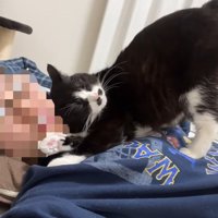 お尻を上げて