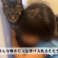 抱き寄せ