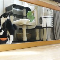 自分の姿にびっくり
