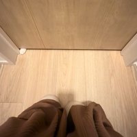 ドアの端まで動いていった猫の手