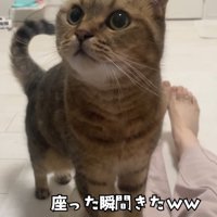 テロップ「座った瞬間きた」