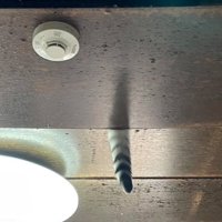 天井の隙間から出ている猫のしっぽ