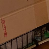 ケージの中にいる子猫