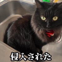 侵入された