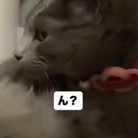 「ん？」と書かれた写真