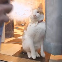 固まるチップくん