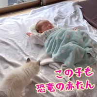 テロップ「この子も～」
