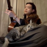 男性の膝の上に寝転がる猫