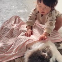 猫にブランケットをかける子ども