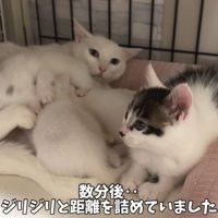 テロップ「数分後..」