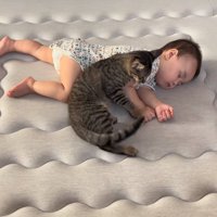 隣に腰を下ろす猫