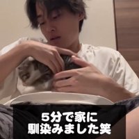 馴染む黒猫