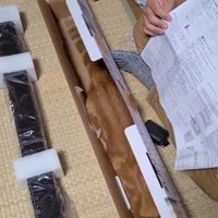 空き箱に入る猫