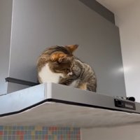 顔を背けて無視