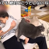 子供を抱いて膝に猫を乗せている人
