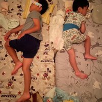 川の字で眠る兄弟と猫