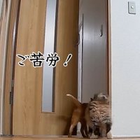 ご苦労！