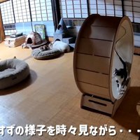 様子を時々見ながら