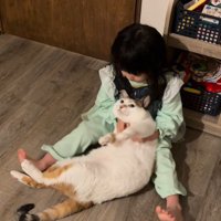 猫を膝にのせる女の子