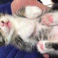 仰向け