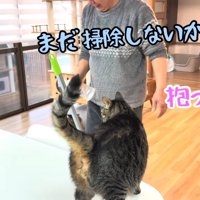 テロップ「まだ掃除しないかんで」