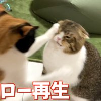 超スロー再生左パンチ