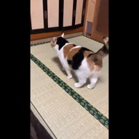 後ろ姿