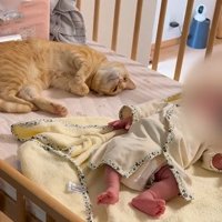 赤ちゃんに寄り添う猫2