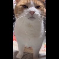 目を細めた表情