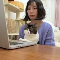 釘付けなうま次郎くん