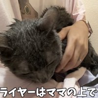 「ドライヤーはママの上で！」のテロップ写真