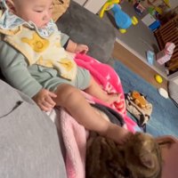 赤ちゃんの足が顔に当たっている猫