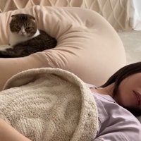 眠る飼い主と丸くなる猫
