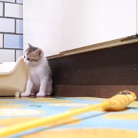 隅に座るハートくん