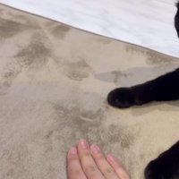 人の手が映っている写真