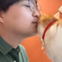 左頬をスリスリ